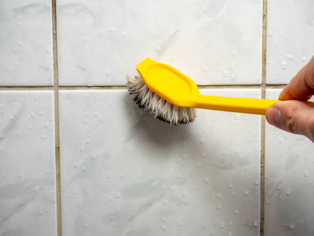 Best Black Mold Removal  in Ladera Heights, CA