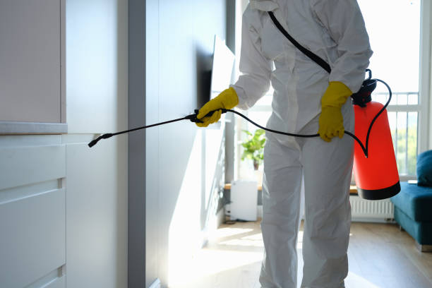 Best Office Mold Removal Services  in Ladera Heights, CA